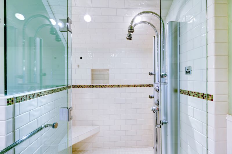 Modern Shower with Niche